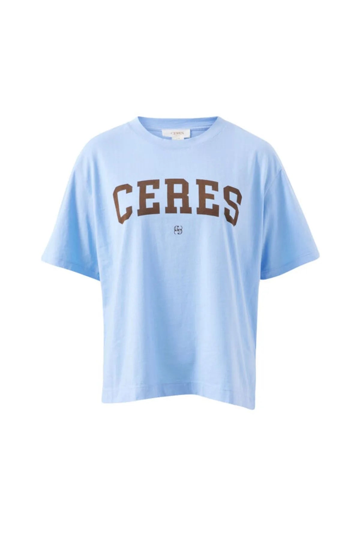 Ceres Life Stevie Slouchy Tee in Powder Blue / Chocolate Varsity