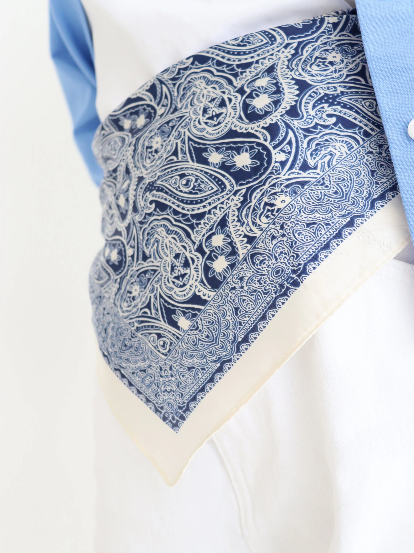 Indie Paisley Bandana