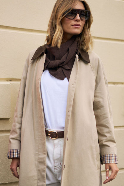 Ash Coat in Sand with Chocolate Collar