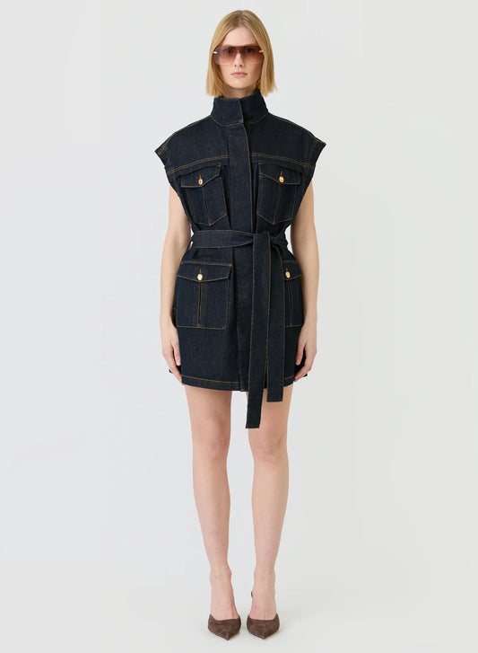 Franca Denim Dress