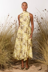 MA Dainty Rani Dress