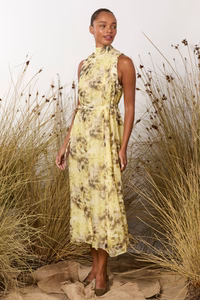 MA Dainty Rani Dress