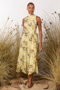 MA Dainty Rani Dress